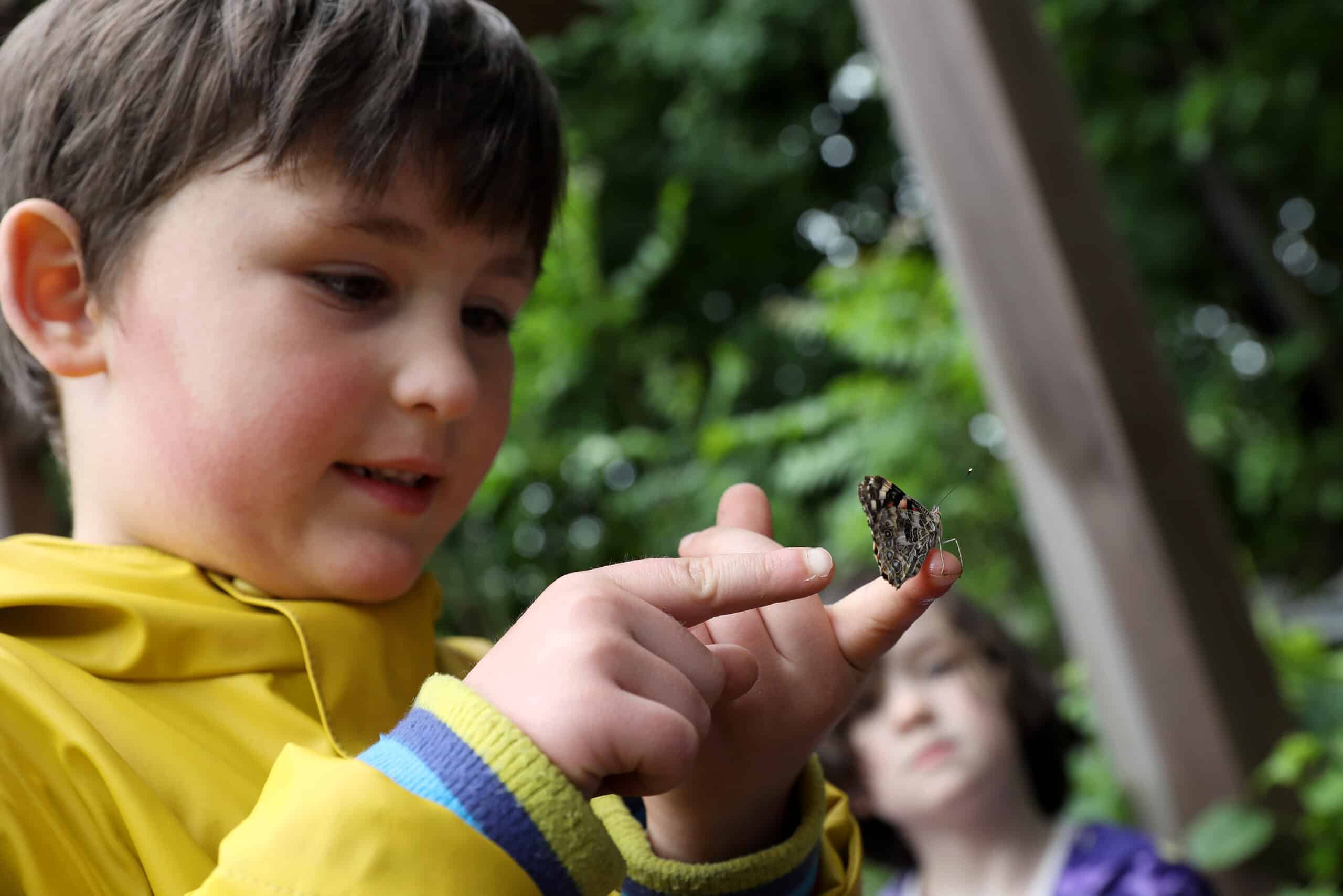 A monarch butterfly rests on a kindergarten student's finger