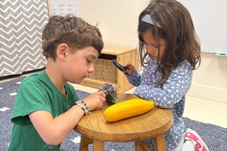 BDS LU K Squash 09.18.25Web